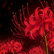 member BrachiateSky8